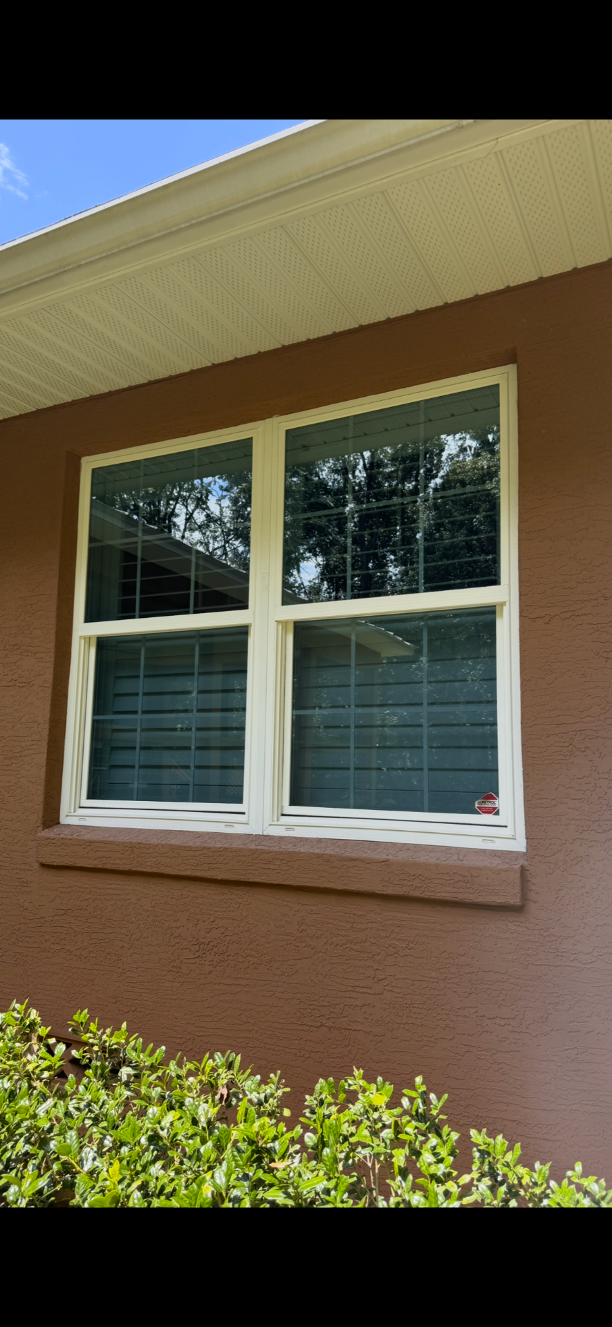 Window Washing & More